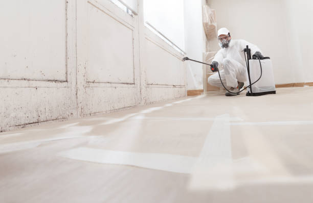 Black mold remediation team in Deerfield